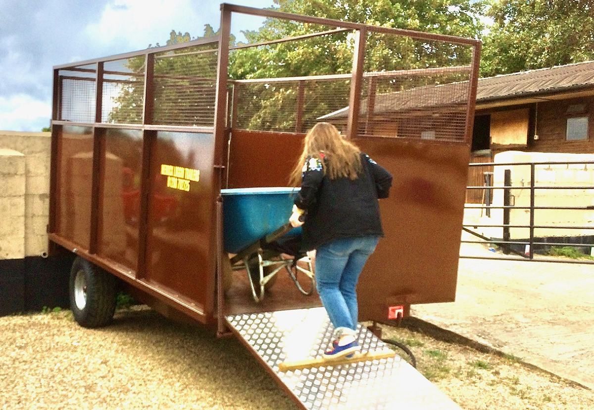 horse much tralier brown 6 tonne